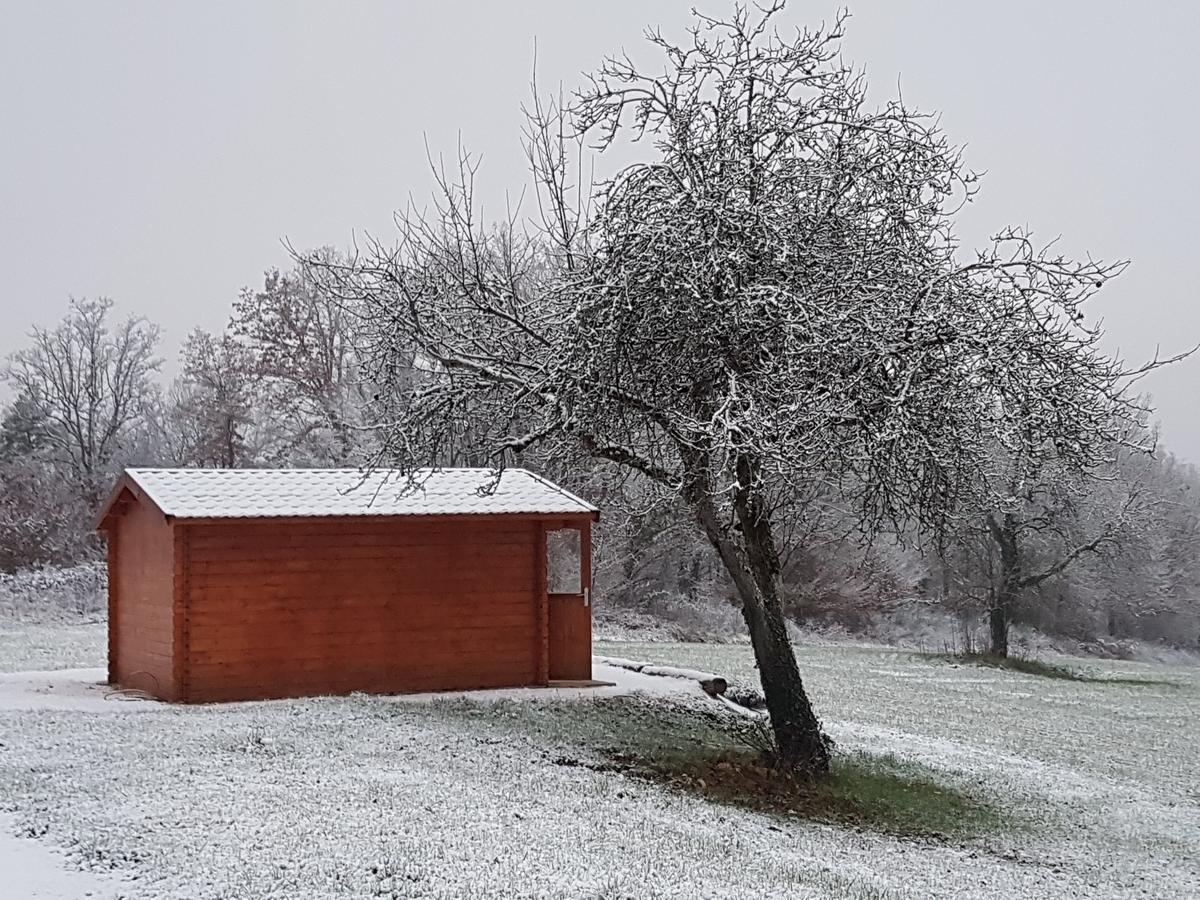 L'Evidence Bed & Breakfast La Chapelle-Aubareil Luaran gambar